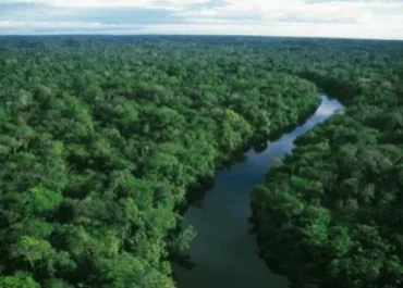 A Floresta Amazônica